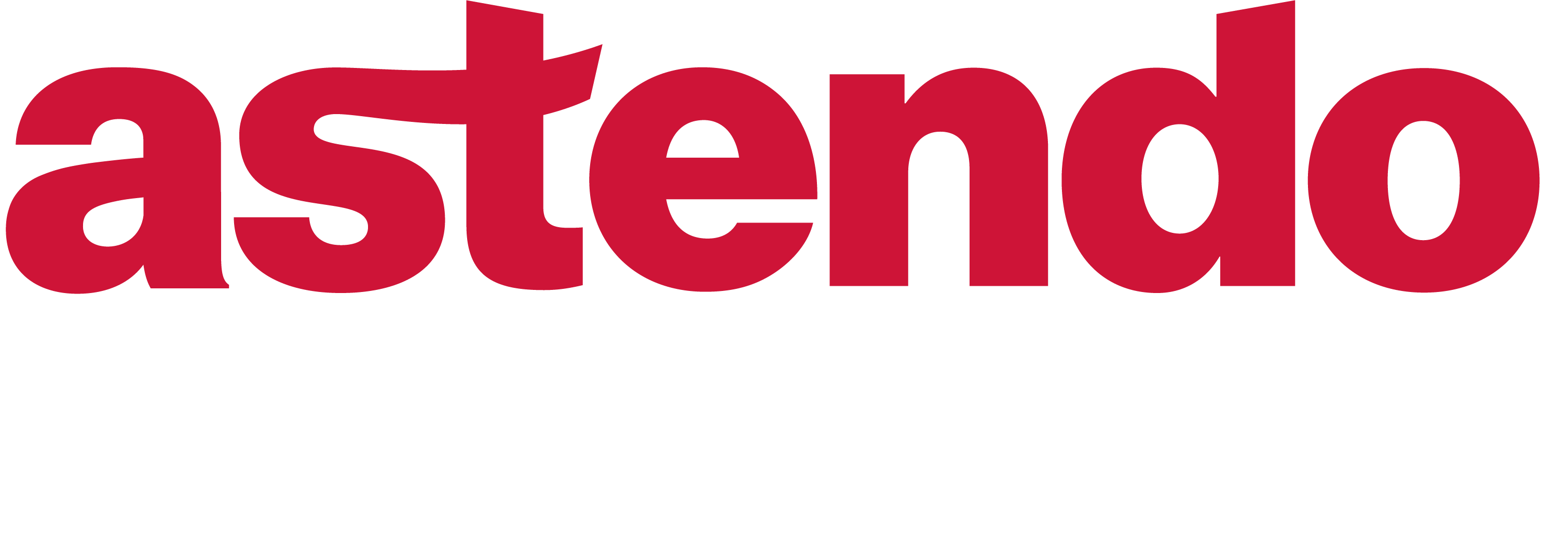 astendo solutions GmbH